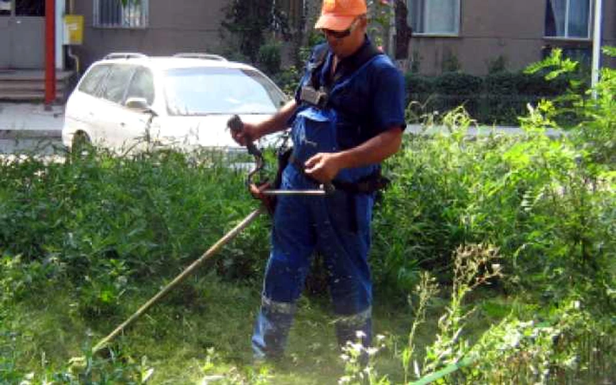 FOTO: Adevărul
