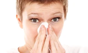 5 allergy 18656 960 720 jpg jpeg