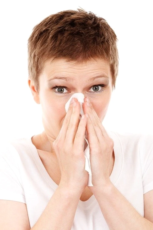 5 allergy 18656 960 720 jpg jpeg