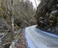 Valea Sibișelului din Hunedoara Foto Daniel Guță ADEVĂRUL (20) jpg