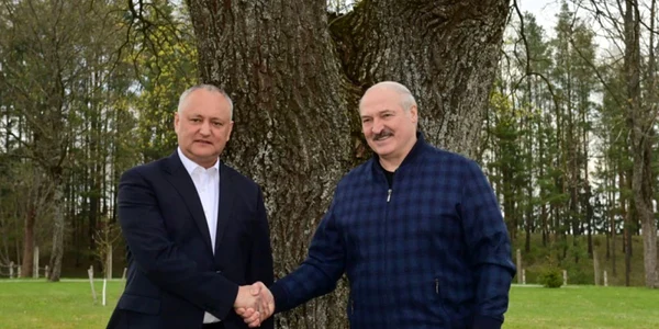 dodon