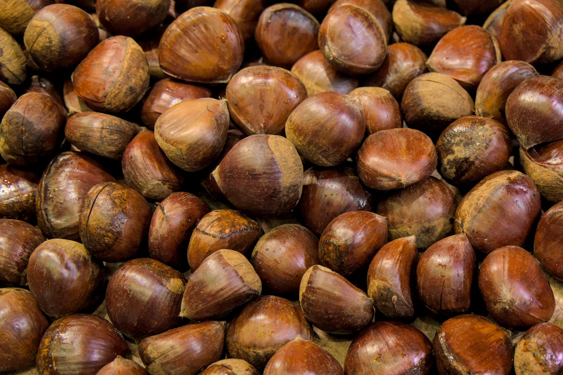 Castanele sunt considerate delicatesele toamnei.