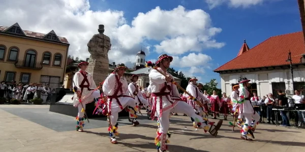 festivalul calusul romanesc 2024 slatina   foto alina mitran (6) jpeg
