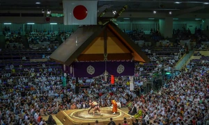 Sumo: Hakuho ia o pauză png