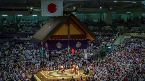 Sumo: Hakuho ia o pauză png