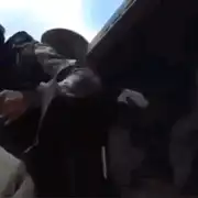 ucraina gif gif