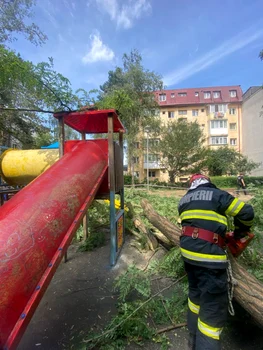 Un copil de 10 ani a fost rănit după ce un copac a căzut în zona unui loc de joacă FOTO ISU 4 jpg