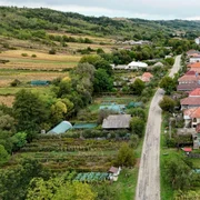 stejari primarie jpg