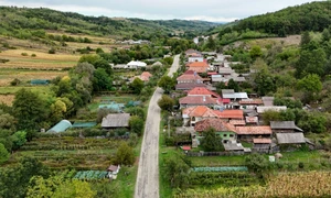 stejari primarie jpg