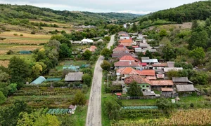 stejari primarie jpg