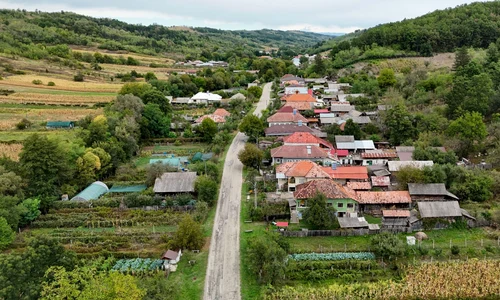 stejari primarie jpg