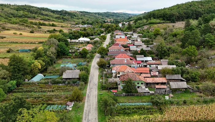 stejari primarie jpg