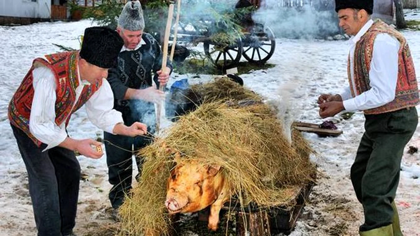 
    Peste trei săptămâni, se dă startul sacrificării porcului de Crăciun Foto: agrointel.ro  