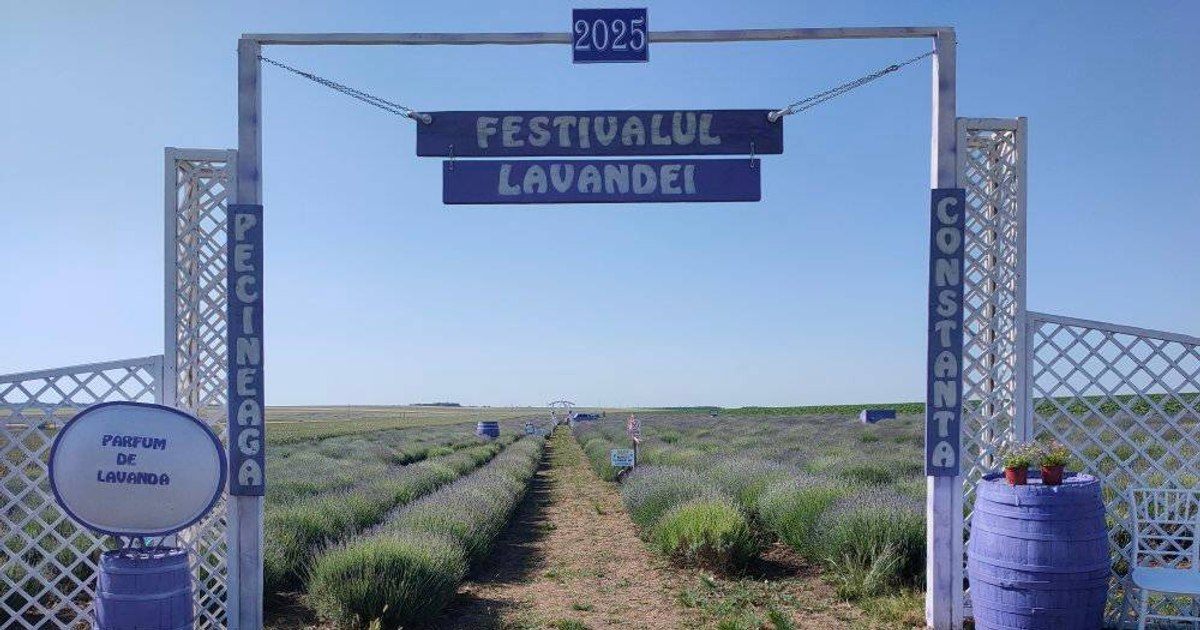 Festivalul Lavandei de la Pecineaga: o escapadă de neuitat în natură pentru fotografii unice. Festivalul Lavandei de la Pecineaga: o escapadă de neuitat în natură pentru fotografii unice.