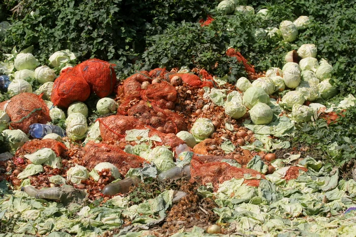 
    Tone de varză în piaţa din Lunguleţu   