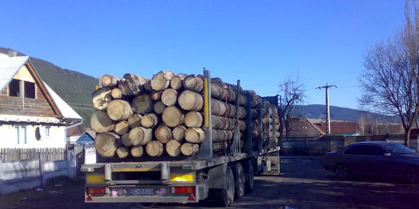 Transporturi ilegale de lemn stopate de polițiștii reghineni