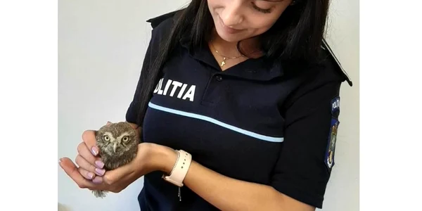 pasare salvata politia animalelor