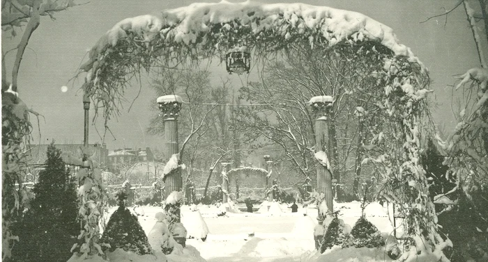 Iarna în Cișmigiu FOTO Arhivele Naționale ale României Colecția Documente Fotografice