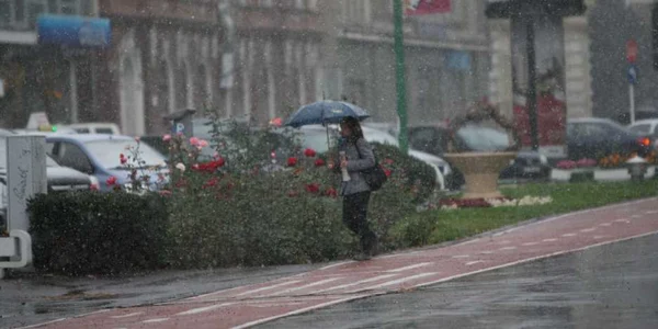 meteo