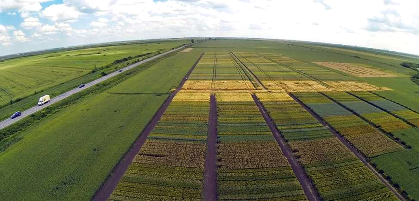 Proiectul prevede ca obligaţie pentru cetăţenii altor state care doresc să cumpere terenuri agricole să angajeze cetăţeni români, în proporţie de 60% la nivel de management şi 90% la nivel de forţă de muncă