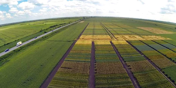 Agricultură făcută cu drona
