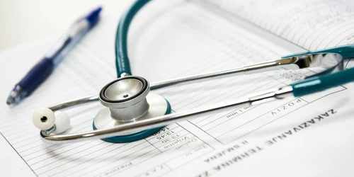 pexels pixabay 40568 jpeg