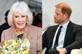 Printul Harry si Regina Camilla jpg