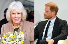 Printul Harry si Regina Camilla jpg