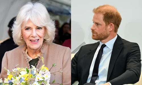 Printul Harry si Regina Camilla jpg