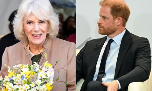 Printul Harry si Regina Camilla jpg