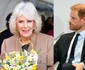 Harry n-a avut niciodată cea mai bună relație cu Camilla