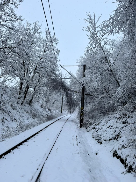Traseu de tren inzapezit