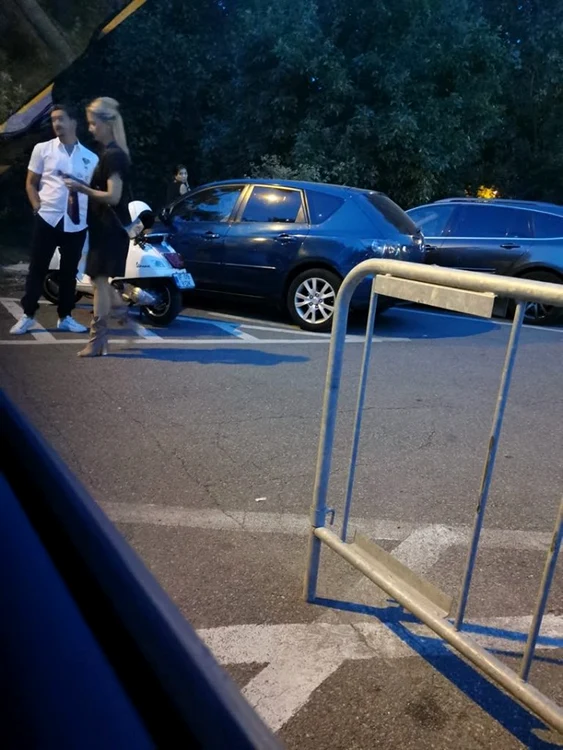 Mihai Petre, alături de soția lui, Elwira