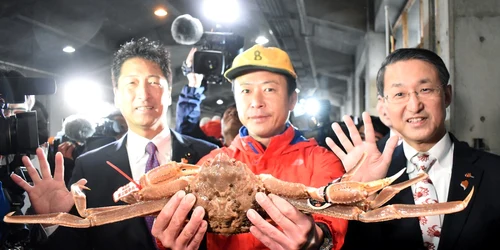 Crab de zăpadă licitat in Japonia pentru 46.000 de dolari FOTO EPA-EFE
