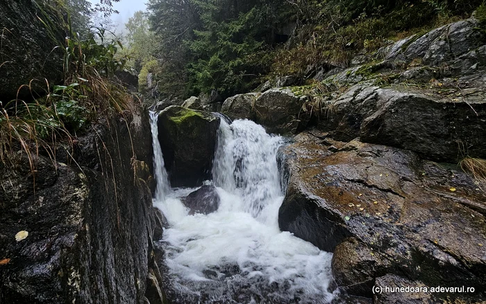 Cascada de pe valea Pietrele. Foto: Daniel Guță. ADEVĂRUL