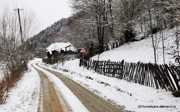 Drumul Runcu Mare - Vadu Dobrii. Foto: Daniel Guță