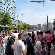 gif pROTEST 