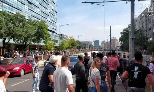 gif pROTEST 