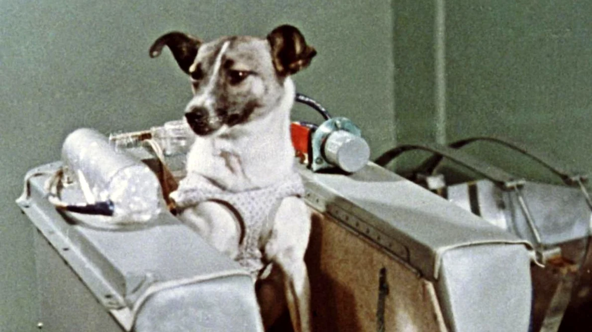 Laika eroina din spațiu Din poveștile programului spațial sovietic și necunoscutele sale jpeg
