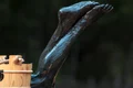 1 moodimages 2 jpg jpeg