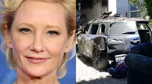anne heche webp