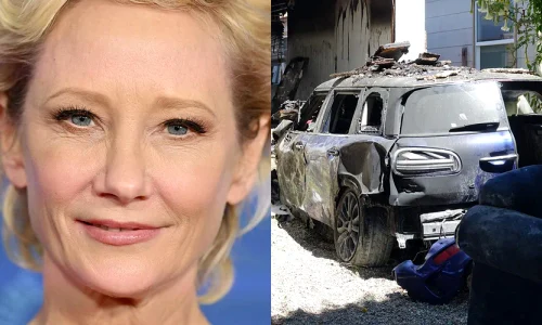 anne heche webp