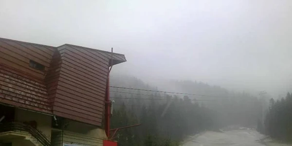 Ninge în Poiana BraşovFOTObrasovultau.ro