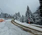 Statiunea montana Râușor din Retezat Foto Daniel Guță ADEVĂRUL (21) jpg