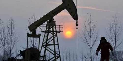 Preţul barilului de petrol nu va depăşi în primele şase luni ale lui 2010 80 de dolari