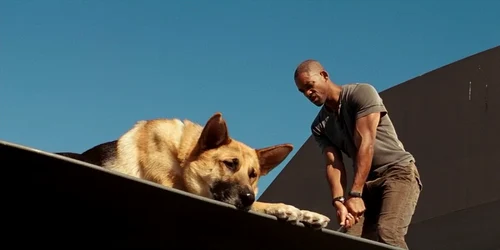 Will Smith I Am Legend cinemagia.ro