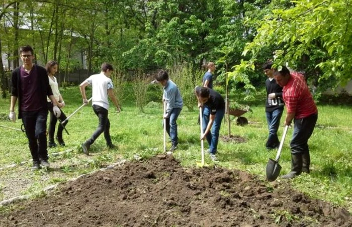 Elevii ajută la realizarea parcului