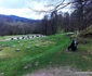 Sarmizegetusa Regia Foto Daniel Guță ADEVĂRUL (35) jpg