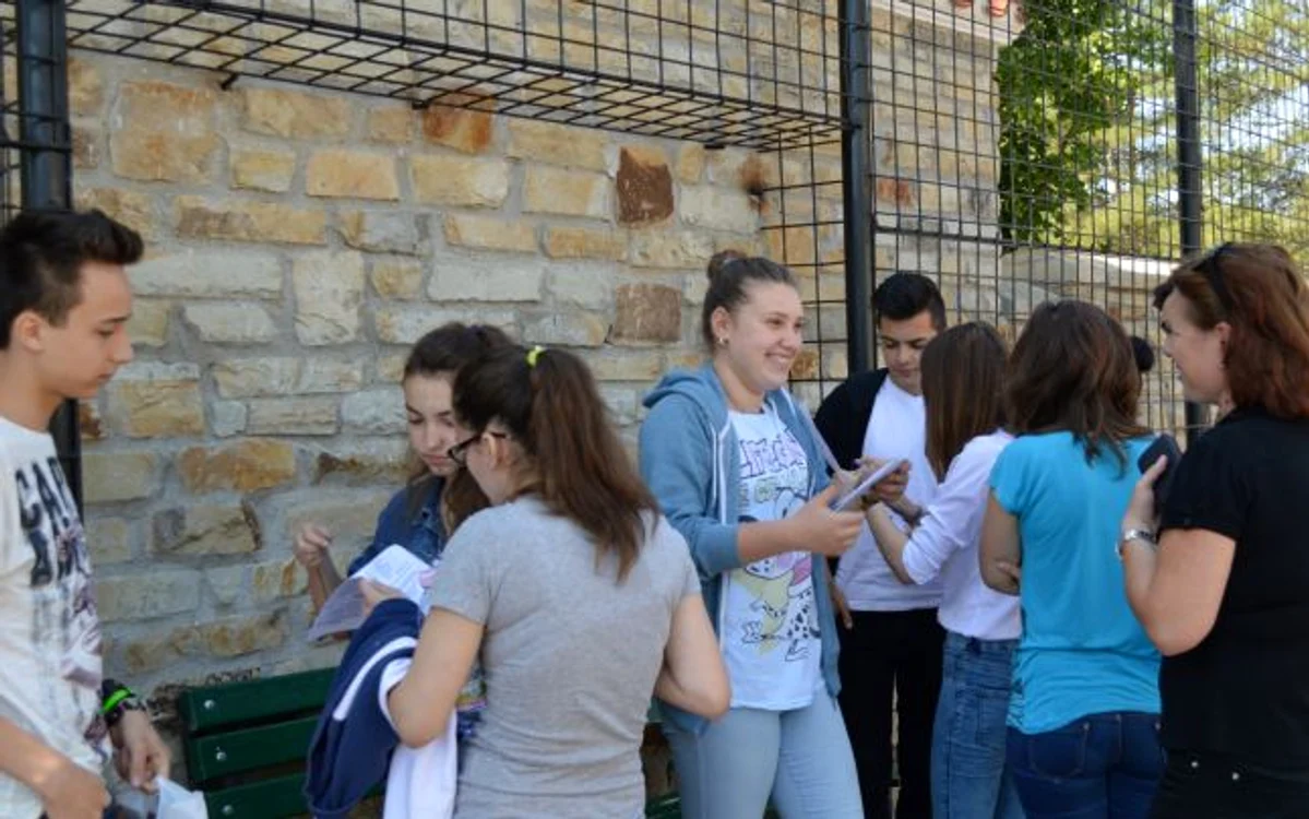 
    Elevii vor afla azi dacă au promovat sau nu examenul de Capacitate  