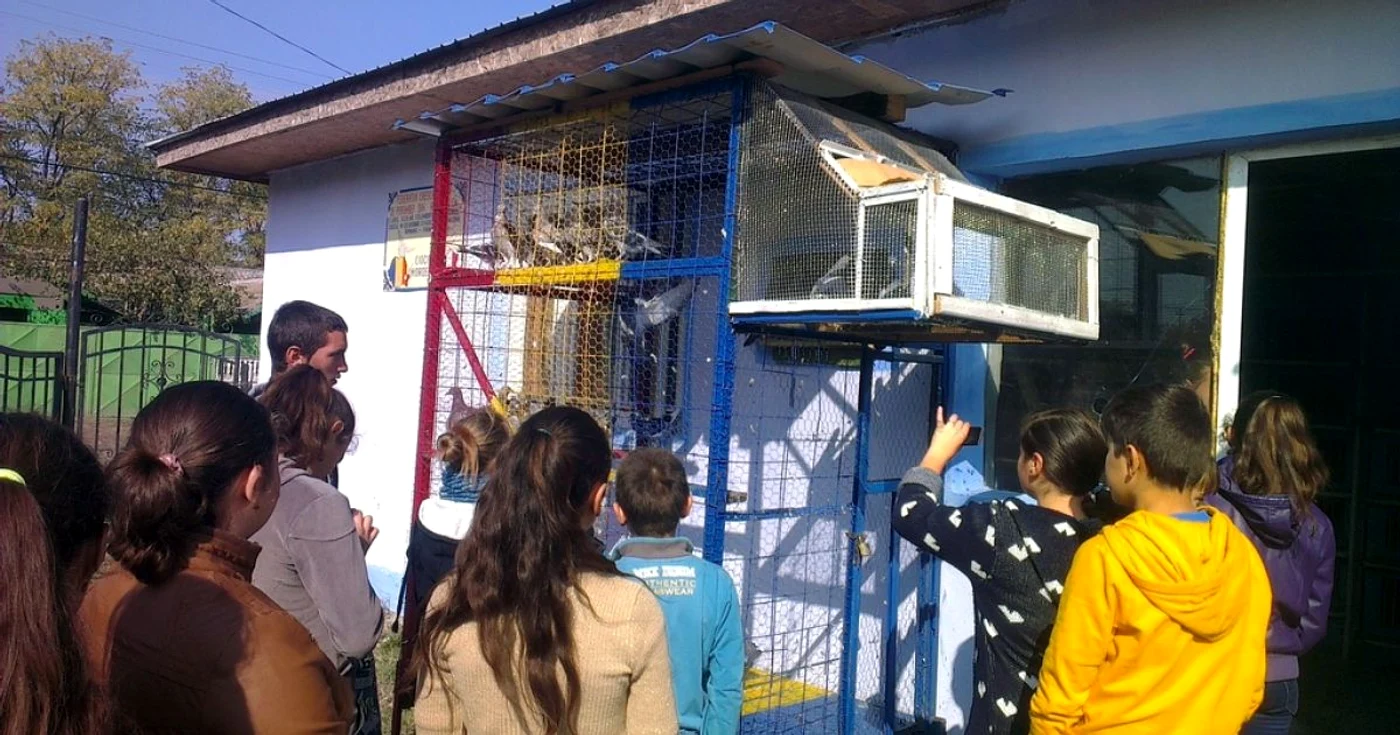 Elevii se vor implica activ în creşterea porumbeilor primiţi în dar   FOTO Asociaţia Danubius